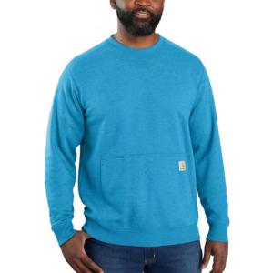 Relaxed Fit Lightweight FORCE Crewneck Sweatshirt_image