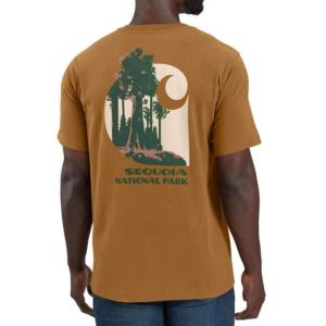Relaxed Fit Heavyweight Sequoia National Park T-Shirt_image
