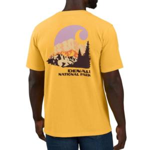 Relaxed Fit Heavyweight Denali National Park T-Shirt_image