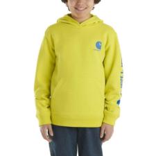 Carhartt CA6469