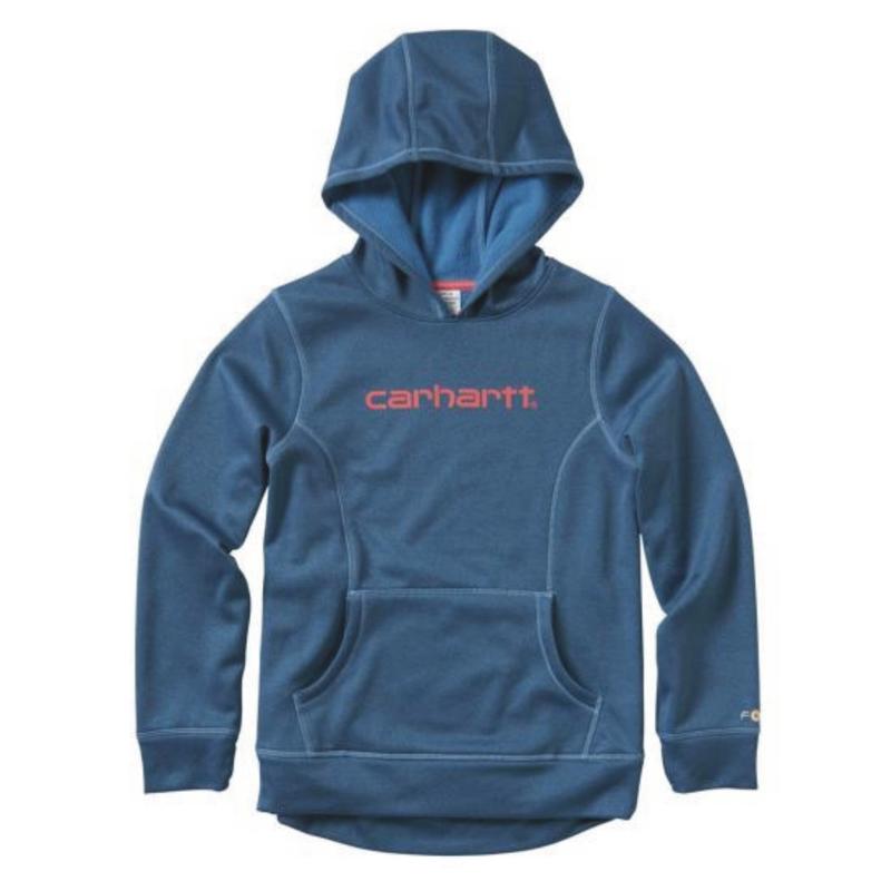 teal carhartt sweatshirt