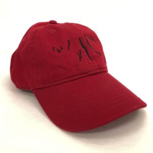 FLX Apparel Laketown Hat